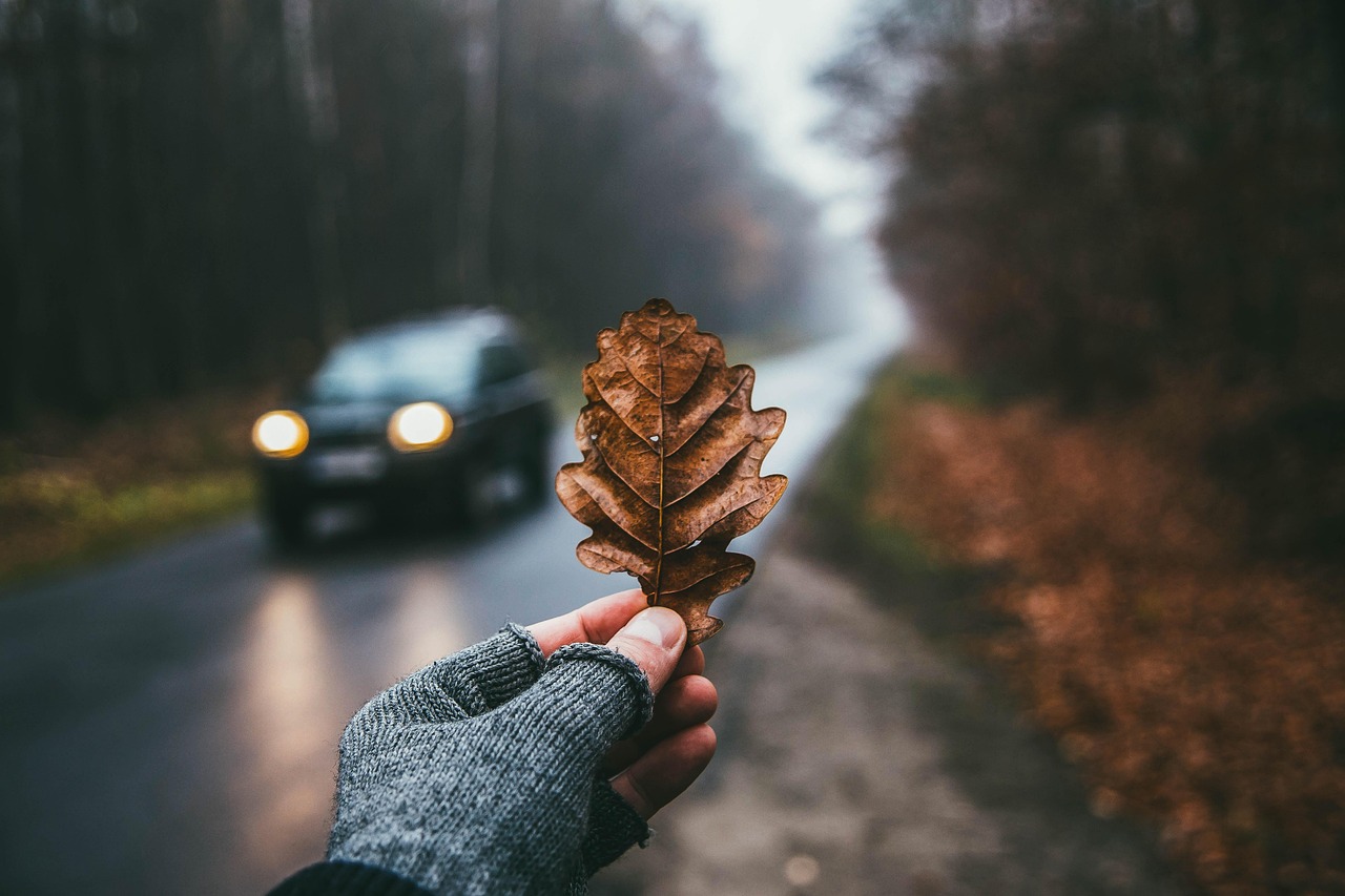 Why Do Hands Become So Dry in Winter?